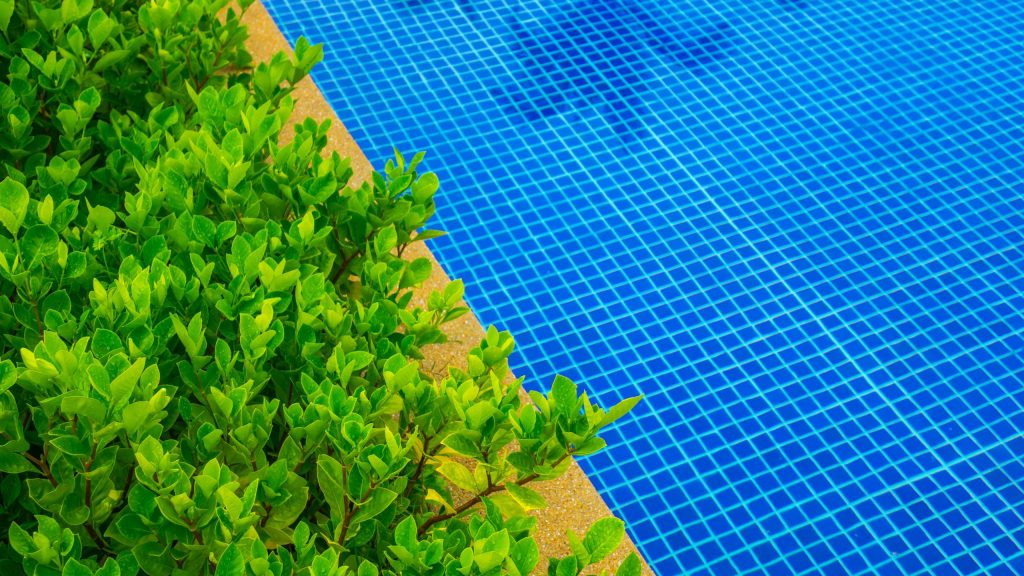 18×36 Inground Pool Liner Replacement Cost Guide 18x36 Inground Pool Liner Replacement Cost Guide